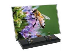 Animaux décor 55 avec texte