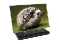 Animaux décor 68 avec texte