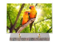 Animaux décor 45 avec texte