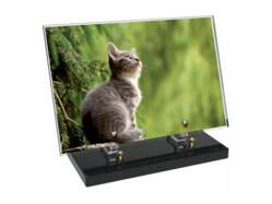 Animaux décor 32 avec texte