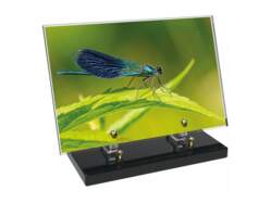 Animaux décor 60 avec texte