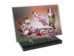 Animaux décor 90 avec texte