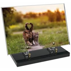 Animaux décor 65 avec texte