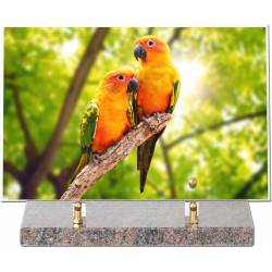 Animaux décor 45 avec texte