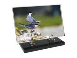 Animaux décor 48 avec texte