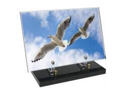 Animaux décor 98 avec texte