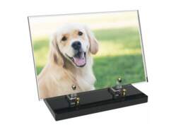 Animaux décor 35 avec texte