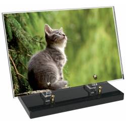 Animaux décor 32 avec texte