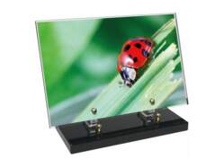 Animaux décor 38 avec texte