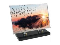 Animaux décor 73 avec texte