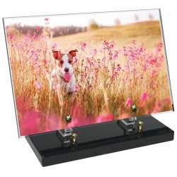 Animaux décor 47 avec texte