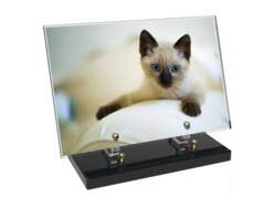 Animaux décor 33 avec texte