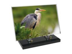 Animaux décor 89 avec texte