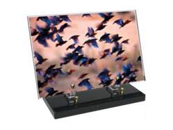 Animaux décor 79 avec texte