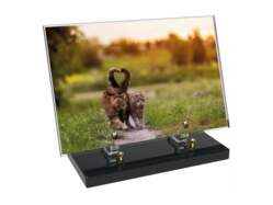 Animaux décor 65 avec texte