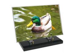 Animaux décor 85 avec texte