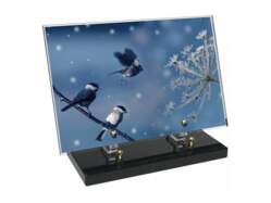 Animaux décor 95 avec texte