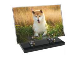 Animaux décor 57 avec texte