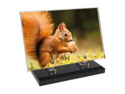 Animaux décor 458 avec texte