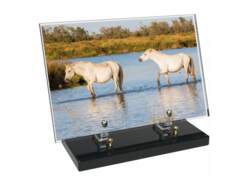 Animaux décor 37 avec texte