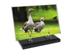 Animaux décor 84 avec texte