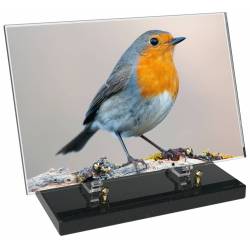 Animaux décor 82 avec texte