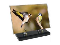 Animaux décor 39 avec texte