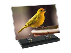 Animaux décor 87 avec texte