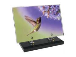 Animaux décor 69 avec texte