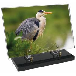 Animaux décor 89 avec texte