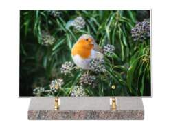 Animaux décor 46 avec texte