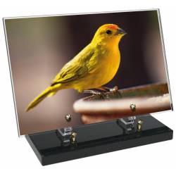 Animaux décor 87 avec texte