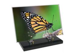 Animaux décor 40 avec texte