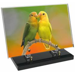 Animaux décor 75 avec texte