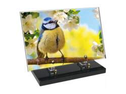 Animaux décor 83 avec texte