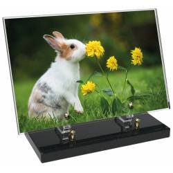 Animaux décor 51 avec texte