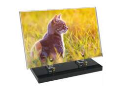 Animaux décor 54 avec texte