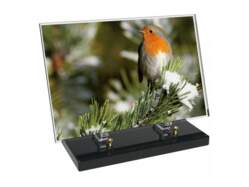 Animaux décor 41 avec texte