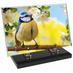 Animaux décor 83 avec texte