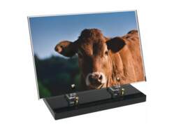 Régions décor avec texte 59