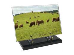 Régions décor avec texte 56