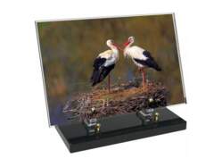 Régions décor avec texte 67