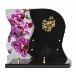 Orchidée