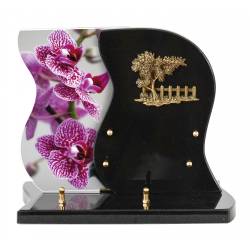 Orchidée