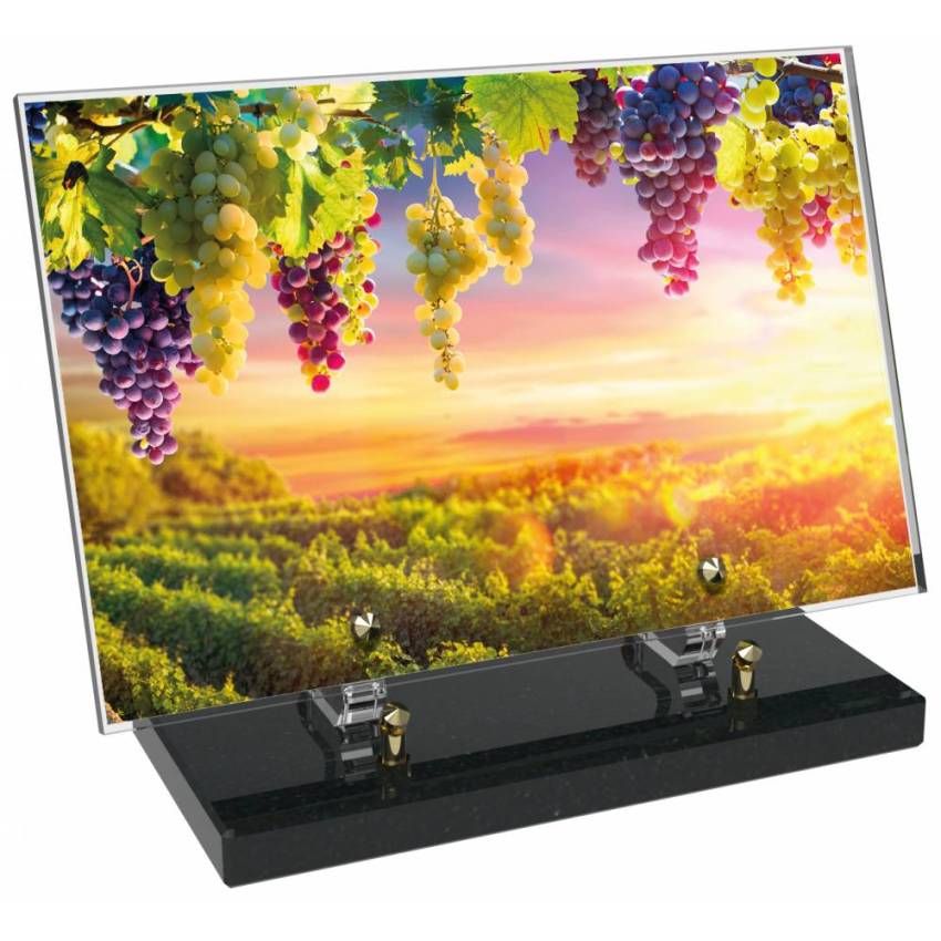 Single Vine Rectangle Plexiglas Plate