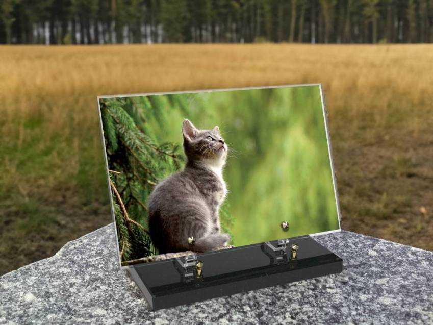 Rectangular Plexiglas plaque of honor.