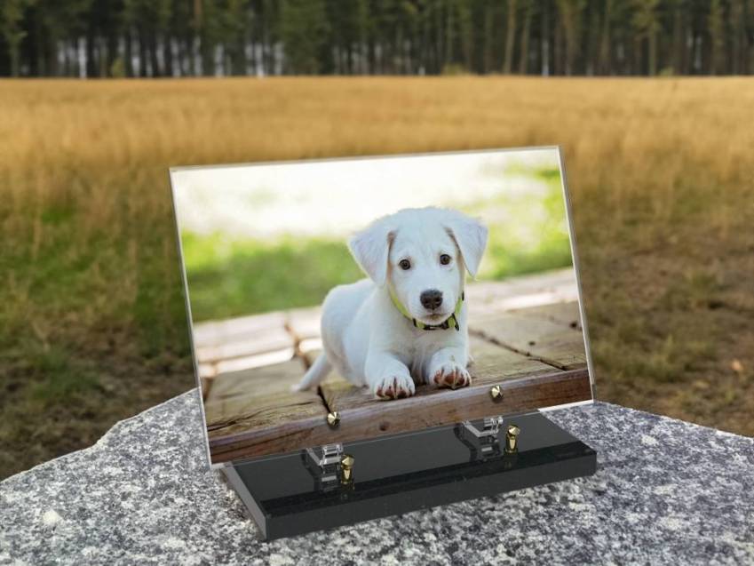 Rectangular Plexiglas plaque of dignity.