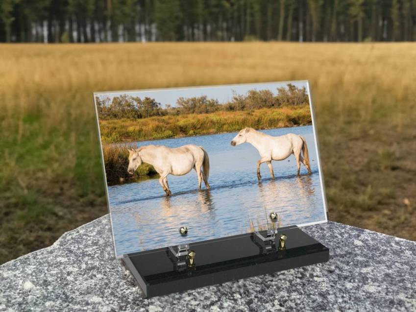 Plexiglas Rectangle Harmony Plaque.