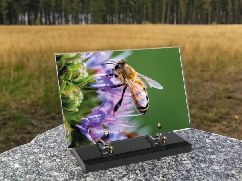 Remarkable Rectangular Plexiglas Plaque.