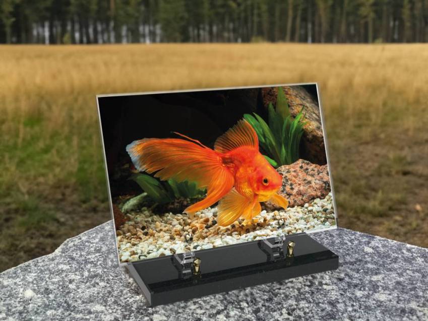 Premium Rectangle Plexiglas Plaque.